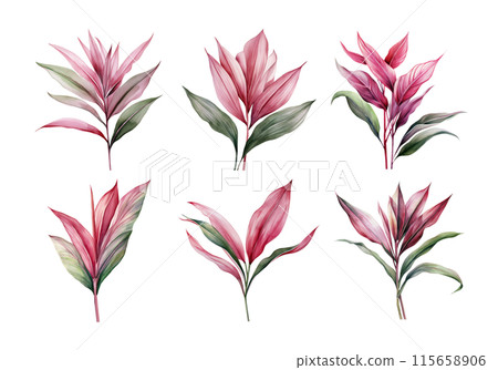 Ti Plant, Tropical Leaf Illustration. Watercolor Style. AI Generated Ti Plant, Tropical Leaf Illustration. Watercolor Style. AI Generated 115658906