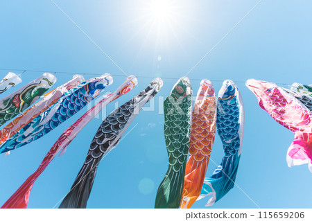 A carp stream that shines in the blue sky A carp stream that shines in the blue sky 115659206