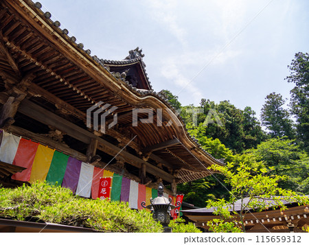 [Nara Prefecture] Asuka Village, Okadera (photographed on June 11, 2024) 115659312