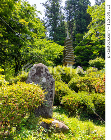 [Nara Prefecture] Asuka Village, Okadera (photographed on June 11, 2024) 115659313