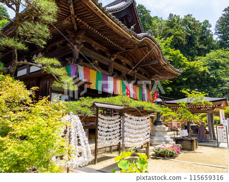 [奈良縣] 岡寺飛鳥村（2024年6月11日拍攝） 115659316