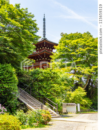 [奈良縣] 岡寺飛鳥村（2024年6月11日拍攝） 115659319