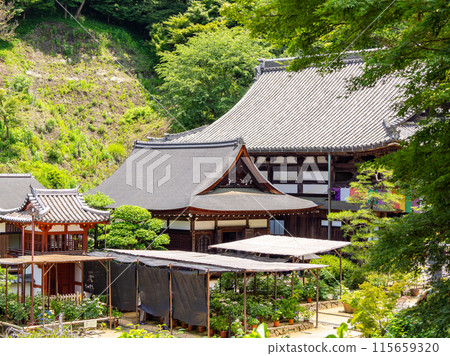 [奈良縣] 岡寺飛鳥村（2024年6月11日拍攝） 115659320