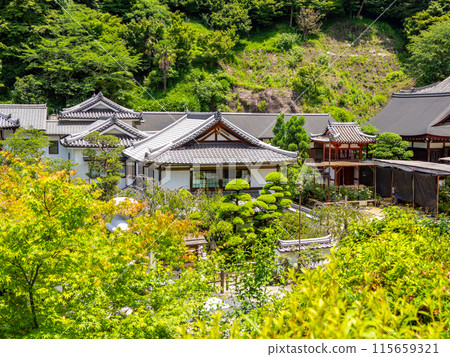 [Nara Prefecture] Asuka Village, Okadera (photographed on June 11, 2024) 115659321