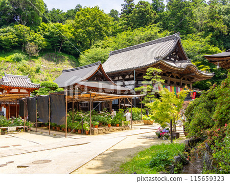 [Nara Prefecture] Asuka Village, Okadera (photographed on June 11, 2024) 115659323