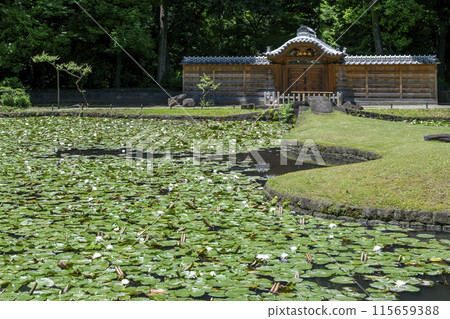 Koishikawa Korakuen, Tokyo Karamon Pond (Inner Garden) and Water Lilies National Special Historic Site Koishikawa Korakuen, Tokyo Karamon Pond (Inner Garden) and Water Lilies National Special Historic Site 115659388