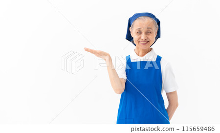 Senior woman, housekeeping, hand-waving 115659486