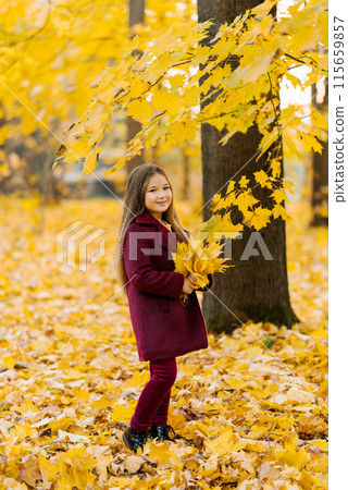 Autumn street portrait of a beautiful happy child girl walking in a park or forest in a coat, holding a bouquet of yellow leaves in her hands 115659857