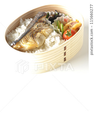 A bento box of grilled silver cod in saikyo style served in a bento box photographed on a white background 115660277