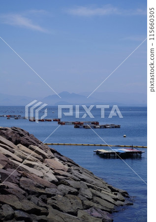 Cat Island Ainoshima Pearl Farming Raft Cat Island Ainoshima Pearl Farming Raft 115660305