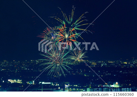 Inagawa Fireworks Festival (Ikeda City, Osaka Prefecture, Kawanishi City, Hyogo Prefecture) Viewed from near Satsukiyama Shubodai Inagawa Fireworks Festival (Ikeda City, Osaka Prefecture, Kawanishi City, Hyogo Prefecture) Viewed from near Satsukiyama Shubodai 115660360