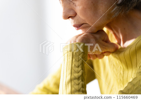 手邊擔心的高級女人 115660469