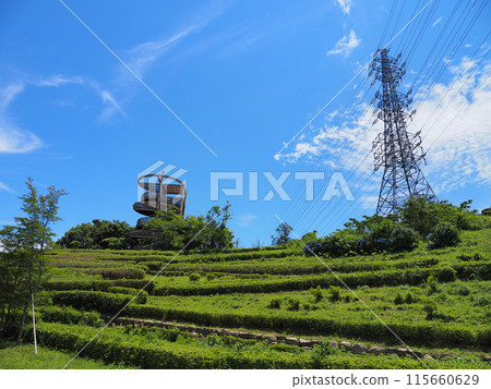 上總第4公園（君津市） 115660629