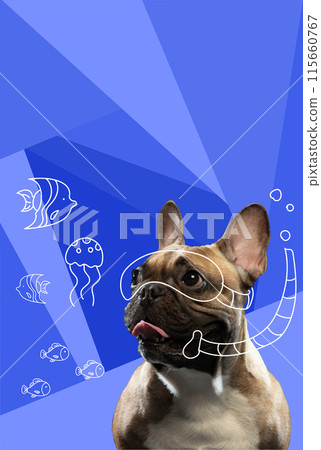 Contemporary artwork. Vector illustration. Close-up photo of French bulldog swimming underwater wearing scuba mask. Vibrant colors cheme. Contemporary artwork. Vector illustration. Close-up photo of French bulldog swimming underwater wearing scuba mask. Vibrant colors cheme. 115660767