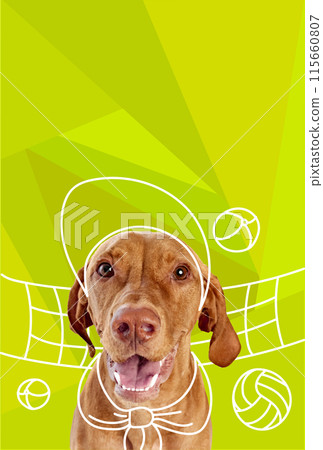 Contemporary artwork. Vector illustration. Portrait of purebred cute dog playing beach volleyball. Vibrant color scheme. 115660807