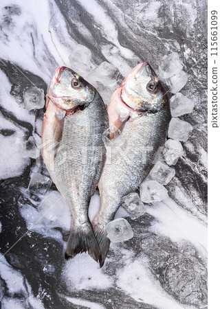 Two cleaned and poached dorado fish among ice cubes.. Two cleaned and poached dorado fish among ice cubes.. 115661099