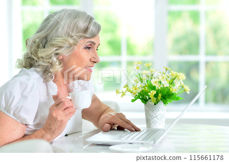 Portrait of happy senior woman posing at home 115661178