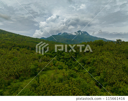 Tropical green forest in the mountains and jungle hills in the highlands of Camiguin Island. Philippines. 115661416
