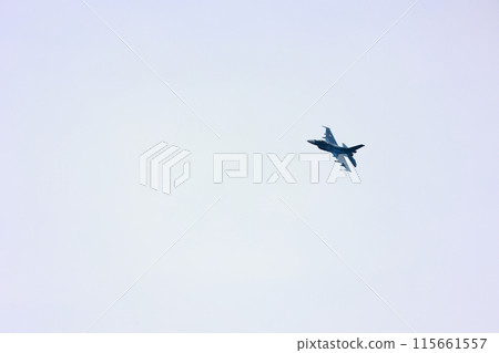 F-2 Fighter Flying Low 115661557