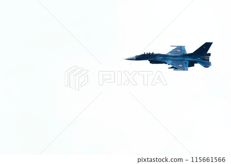F-2 Fighter Flying Low 115661566