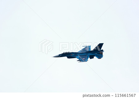 F-2 Fighter Flying Low 115661567