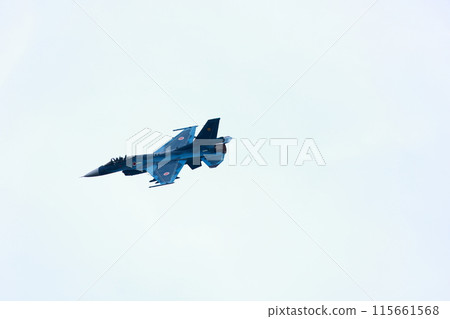 F-2 Fighter Flying Low 115661568