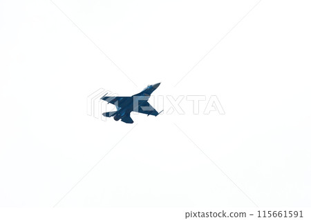 F-2 Fighter Flying Low 115661591