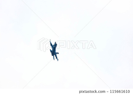 F-2戰鬥機低空飛行 F-2戰鬥機低空飛行 115661610