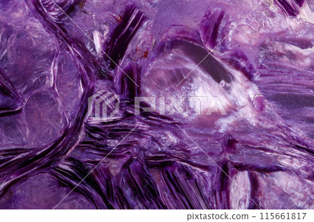 Macro stone mineral Charoite on a white background Macro stone mineral Charoite on a white background 115661817