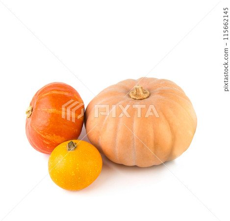 Pumpkins isolated on white, ripe fresh vegetables side view. Set of orange whole mini pumpkins, small squash on Halloween. Pumpkins isolated on white, ripe fresh vegetables side view. Set of orange whole mini pumpkins, small squash on Halloween. 115662145