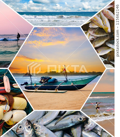 Fishing in Sri Lanka. Collage 115662146