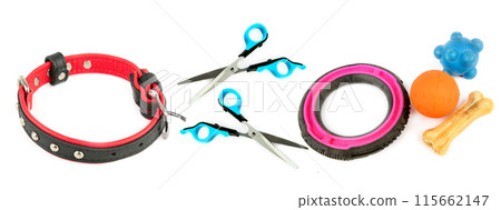 Dog collar, scissors and Set of dog toys isolated on white. Collage. Wide photo. 115662147