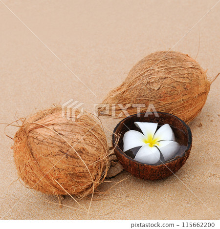 Coconuts on the sandy tropical beach 115662200