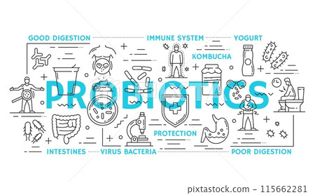 Intestine health and probiotics line vector icons or infographics. Yogurt, kombucha, intestines and bacteria. Poor or good digestion, immune system, protection linear symbols in black and blue colors 115662281