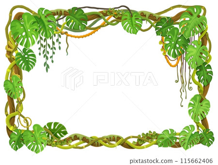 Tropical forest liana frame with jungle plants and monstera leaves. Cartoon vector background with thickets, tree branches and vines, foliage or green grass. Game rainforest flora, border template 115662406