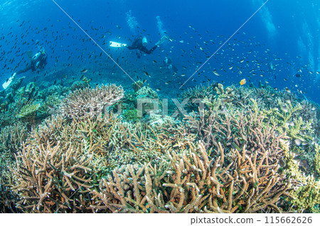 entry entry 115662626