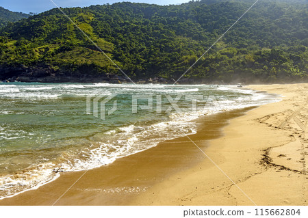 Hills and forest on Bonete beach Hills and forest on Bonete beach 115662804