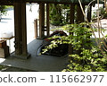 Fresh greenery at Kamakura Shrine 115662977