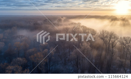 Misty forest aerial view at dawn - Stock Illustration [115664124] - PIXTA