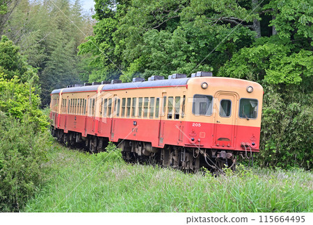 Kominato Railway Kazusa Okubo Kiha 205 + Kiha 208 + Kiha 207 Kominato Railway Kazusa Okubo Kiha 205 + Kiha 208 + Kiha 207 115664495