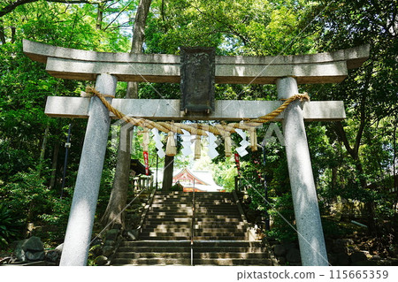 Japan, Tokyo, Setagaya Hachiman Shrine, Torii 115665359