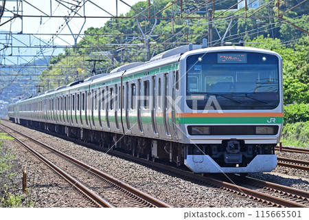 Tokaido Line, Oiso-Ninomiya, JR East, E231 series 1000 series, U118 train (Takasaki) 115665501