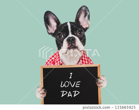 Cute puppy, signboard and inscription I Love Dad 115665925