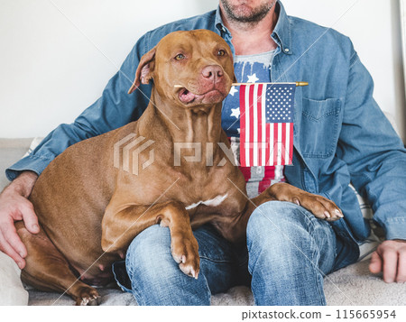 Cute dog, young man and American Flag 115665954