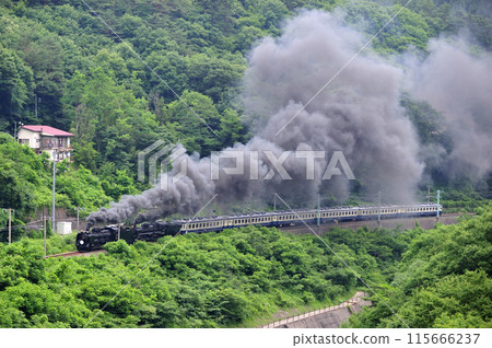 上越線 上牧-水上 JR東日本 D51-498+C57-180+12系-SL Gugut 群馬水上 上越線 上牧-水上 JR東日本 D51-498+C57-180+12系-SL Gugut 群馬水上 115666237