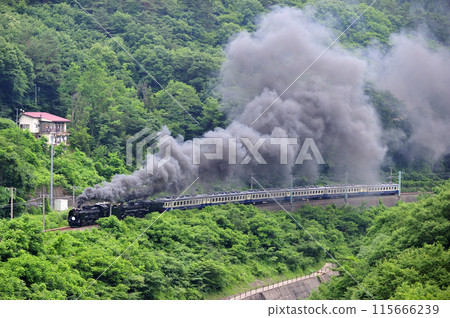 上越線 上牧-水上 JR東日本 D51-498+C57-180+12系-SL Gugut 群馬水上 上越線 上牧-水上 JR東日本 D51-498+C57-180+12系-SL Gugut 群馬水上 115666239