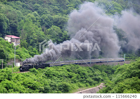 上越線 上牧-水上 JR東日本 D51-498+C57-180+12系-SL Gugut 群馬水上 115666240