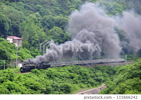 上越線 上牧-水上 JR東日本 D51-498+C57-180+12系-SL Gugut 群馬水上 上越線 上牧-水上 JR東日本 D51-498+C57-180+12系-SL Gugut 群馬水上 115666242