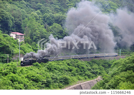 Joetsu Line Kamimaki-Minakami JR East D51-498+C57-180+12 series-SL Gugutto Gunma Minakami Joetsu Line Kamimaki-Minakami JR East D51-498+C57-180+12 series-SL Gugutto Gunma Minakami 115666246