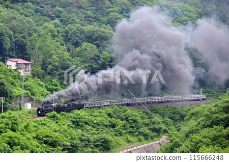 Joetsu Line Kamimaki-Minakami JR East D51-498+C57-180+12 series-SL Gugutto Gunma Minakami 115666248